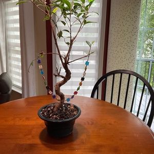 Translucent Glass Bead Necklace